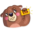 😎-Honey Bear, Telegram Sticker