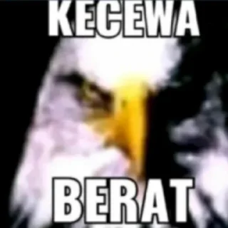 🦅-Terkadang, Telegram Sticker