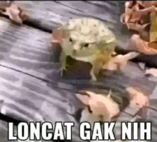 🐸-Terkadang, Telegram Sticker