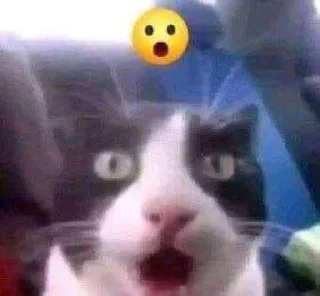 😨-Terkadang, Telegram Sticker