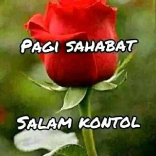 🌹-Terkadang, Telegram Sticker