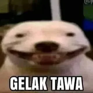 😁-Terkadang, Telegram Sticker