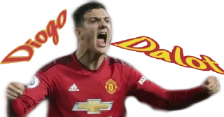 ⚽️-@Theatre_Of_Dream, Telegram Sticker