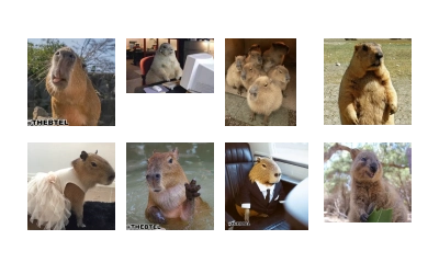 KHoshtp Marmota