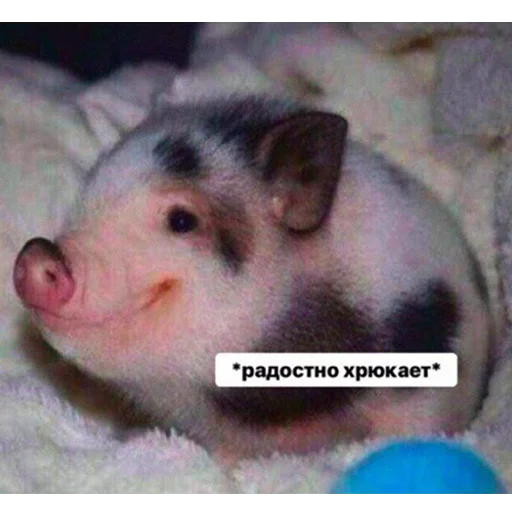 Это конец, telegram sticker