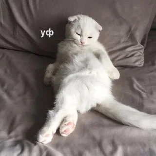 👩-Это конец, Telegram Sticker