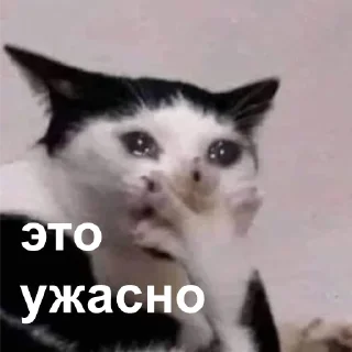 😭-Это конец, Telegram Sticker