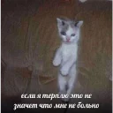 😣-Это конец, Telegram Sticker