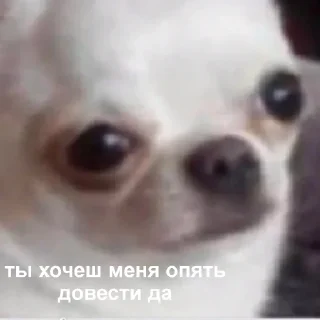 ☹️-Это конец, Telegram Sticker