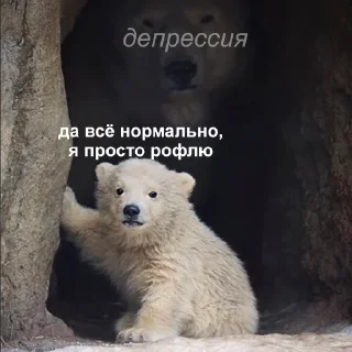 🙂-Это конец, Telegram Sticker