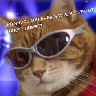 😎-Это конец, Telegram Sticker