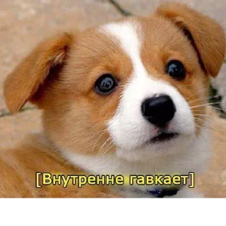 ☹️-Это конец, Telegram Sticker