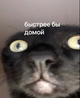 😐-Это конец, Telegram Sticker
