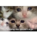 😭-Это конец, Telegram Sticker