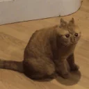 😳-Это конец, Telegram Sticker