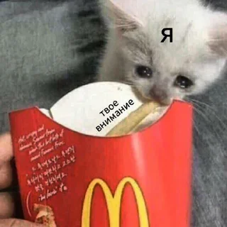 😢-Это конец, Telegram Sticker