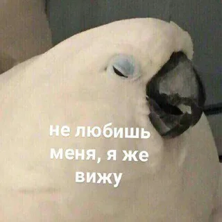 😒-Это конец, Telegram Sticker