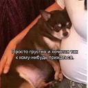 😒-Это конец, Telegram Sticker