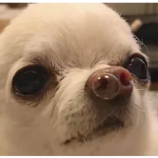 😐-Это конец, Telegram Sticker