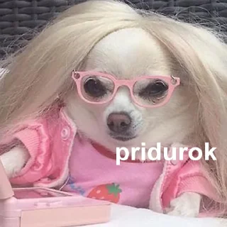 😠-Это конец, Telegram Sticker