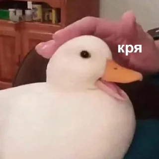 ☺️-Это конец, Telegram Sticker