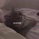 😒-Это конец, Telegram Sticker