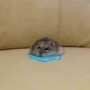 😭-Это конец, Telegram Sticker