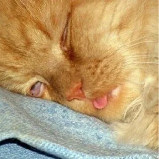 😴-Это конец, Telegram Sticker