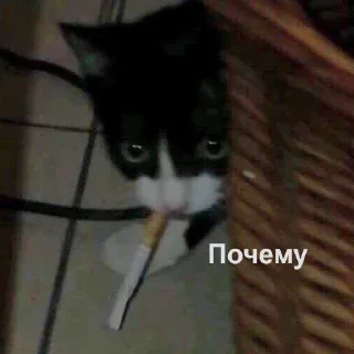 😟-Это конец, Telegram Sticker