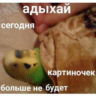 😴-Это конец, Telegram Sticker