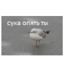 😠-Это конец, Telegram Sticker