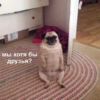 😔-Это конец, Telegram Sticker