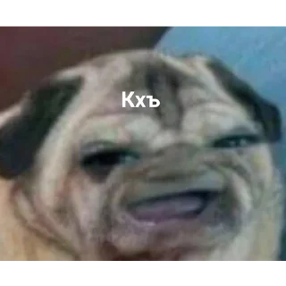 😄-Это конец, Telegram Sticker