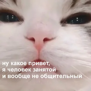 😤-Это конец, Telegram Sticker