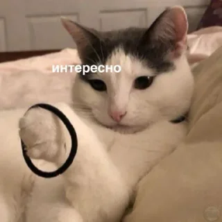 🤔-Это конец, Telegram Sticker