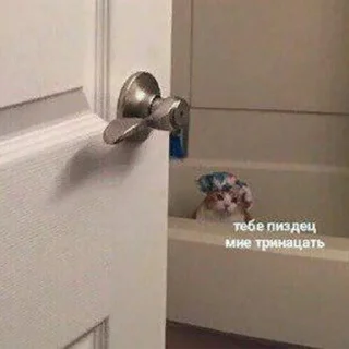 🤬-Это конец, Telegram Sticker