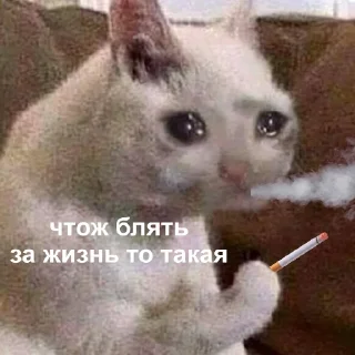 🙁-Это конец, Telegram Sticker