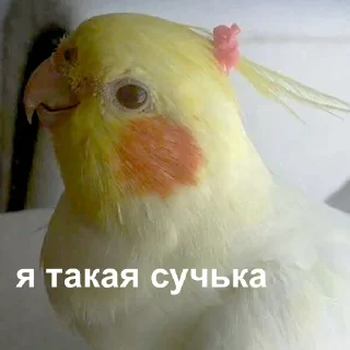 😏-Это конец, Telegram Sticker