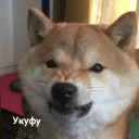 😠-Это конец, Telegram Sticker
