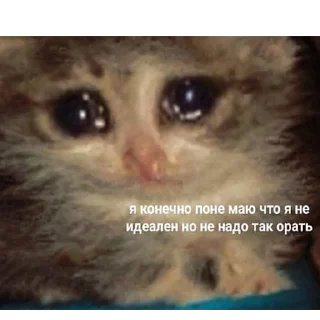 😢-Это конец, Telegram Sticker