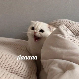 😡-Это конец, Telegram Sticker