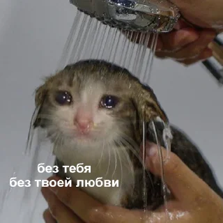 😔-Это конец, Telegram Sticker