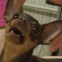 😨-Это конец, Telegram Sticker