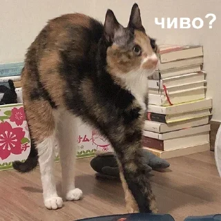 😦-Это конец, Telegram Sticker