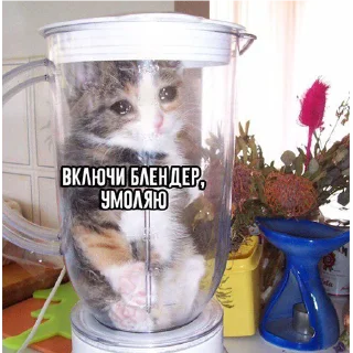 😢-Это конец, Telegram Sticker