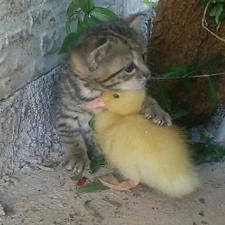 😓-Это конец, Telegram Sticker