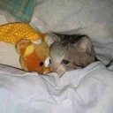 😭-Это конец, Telegram Sticker