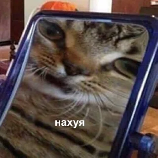 🤨-Это конец, Telegram Sticker