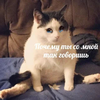😢-Это конец, Telegram Sticker