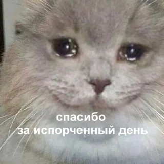 😢-Это конец, Telegram Sticker
